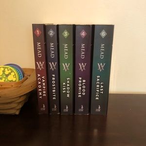 Vampire academy book series